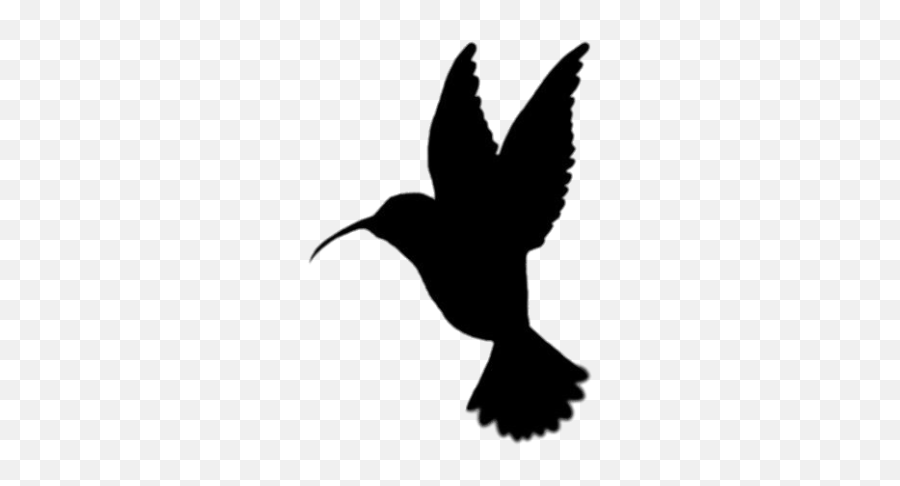 Download Free Png Hummingbird - Dlpngcom Silhouette Bird Clipart Black And White Emoji,Hummingbird Emoji