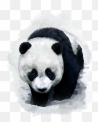 Giant panda Bear Red Desktop Wallpaper Baby Pandas - Cub Drawing Emoji