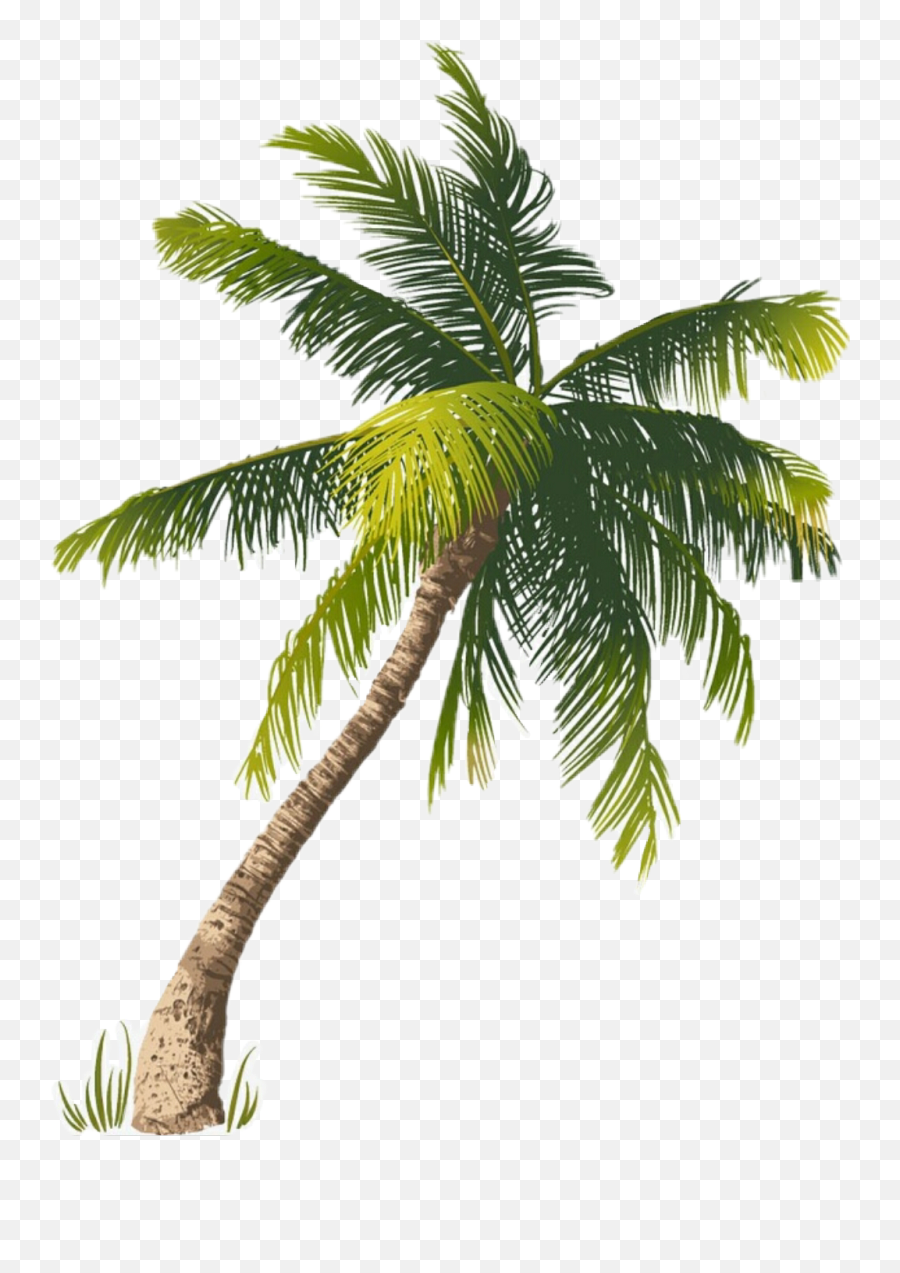 Palm Tree Sticker Challenge On Picsart - Single Coconut Tree Emoji,Palm Tree Book Emoji