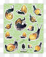 21 Things For People Who Think Snails Are Cute Af - Pond Snails Emoji,Slug Emoji