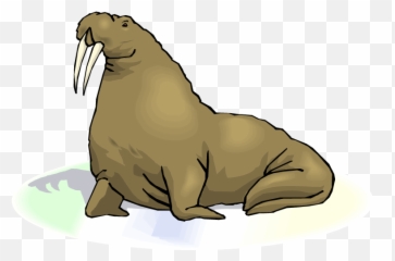 Walrus Cliparts Download Free Clip Art - Clipart Walrus Transparent Background Emoji,Walrus Emoji