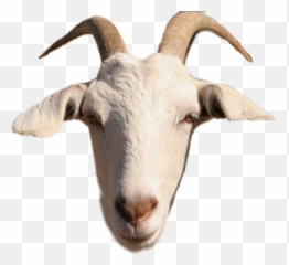 Goat - Head Of The Goat Emoji,Goat Emoji Png