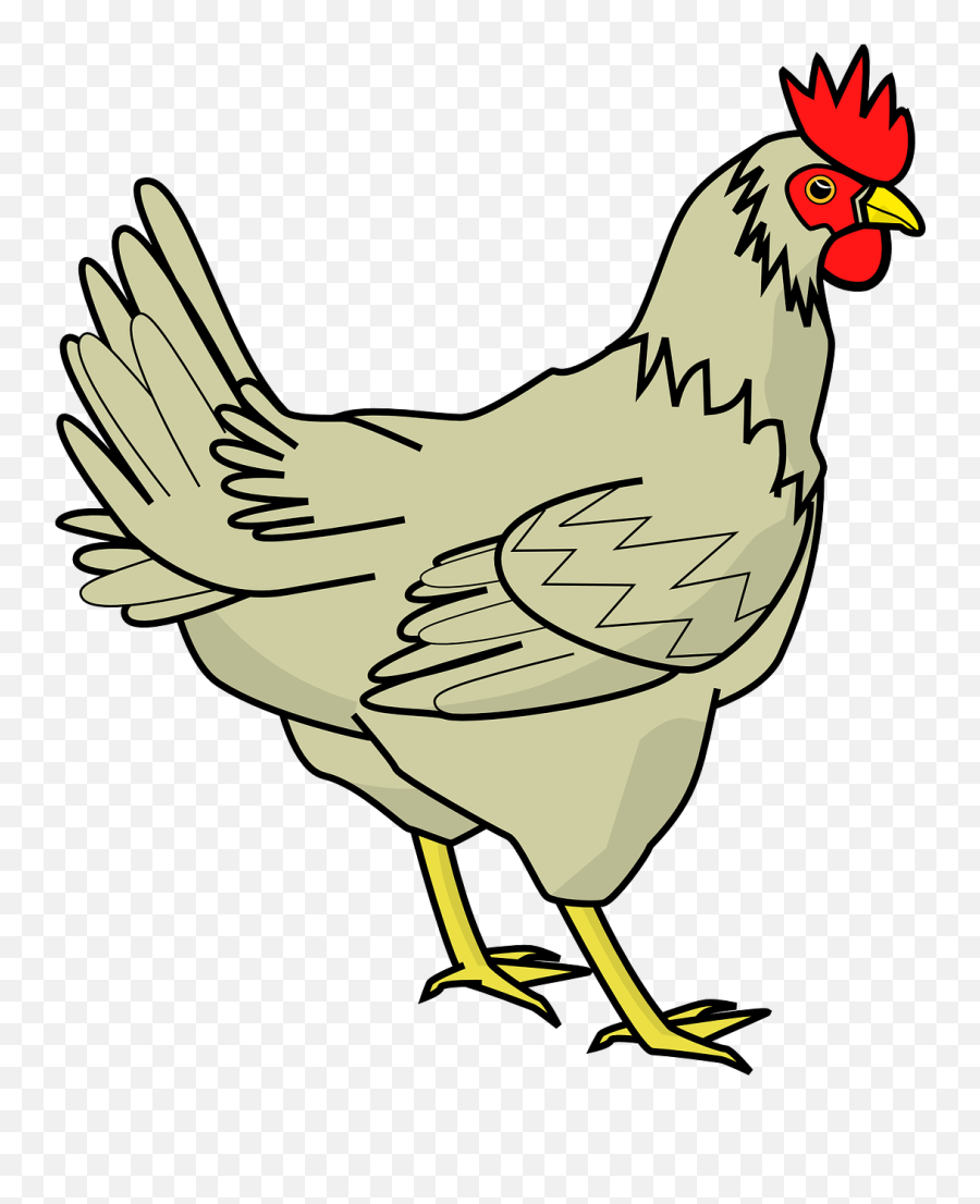 Chicken Poultry Hen Barn Farm - Clip Art Of Chicken Emoji,Chicken Nugget Emoji