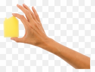 Sponge Png - Tan Emoji