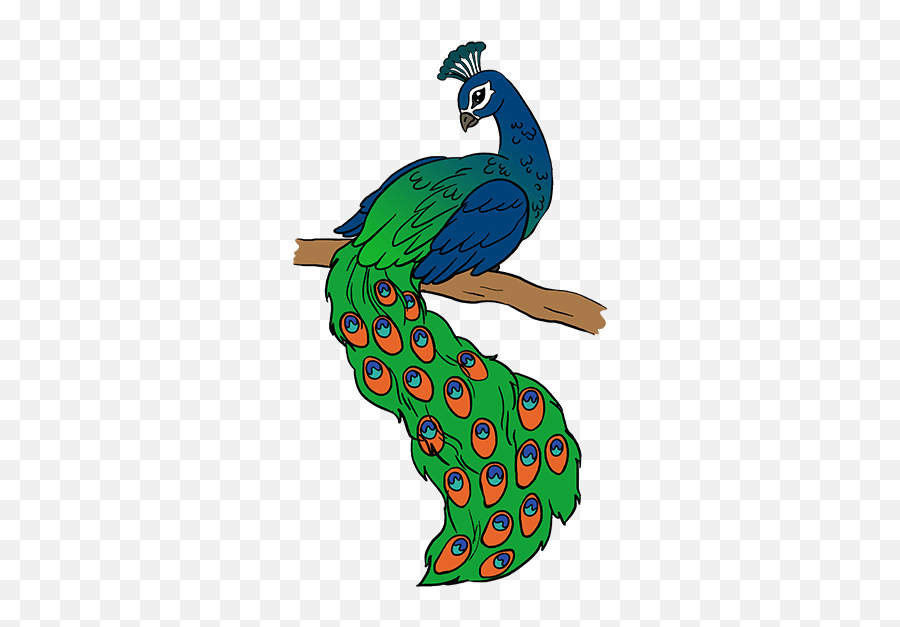Peacock Beautiful Image Drawing - Easy Simple Colorful Peacock Drawing Emoji,Peacock Emoticon
