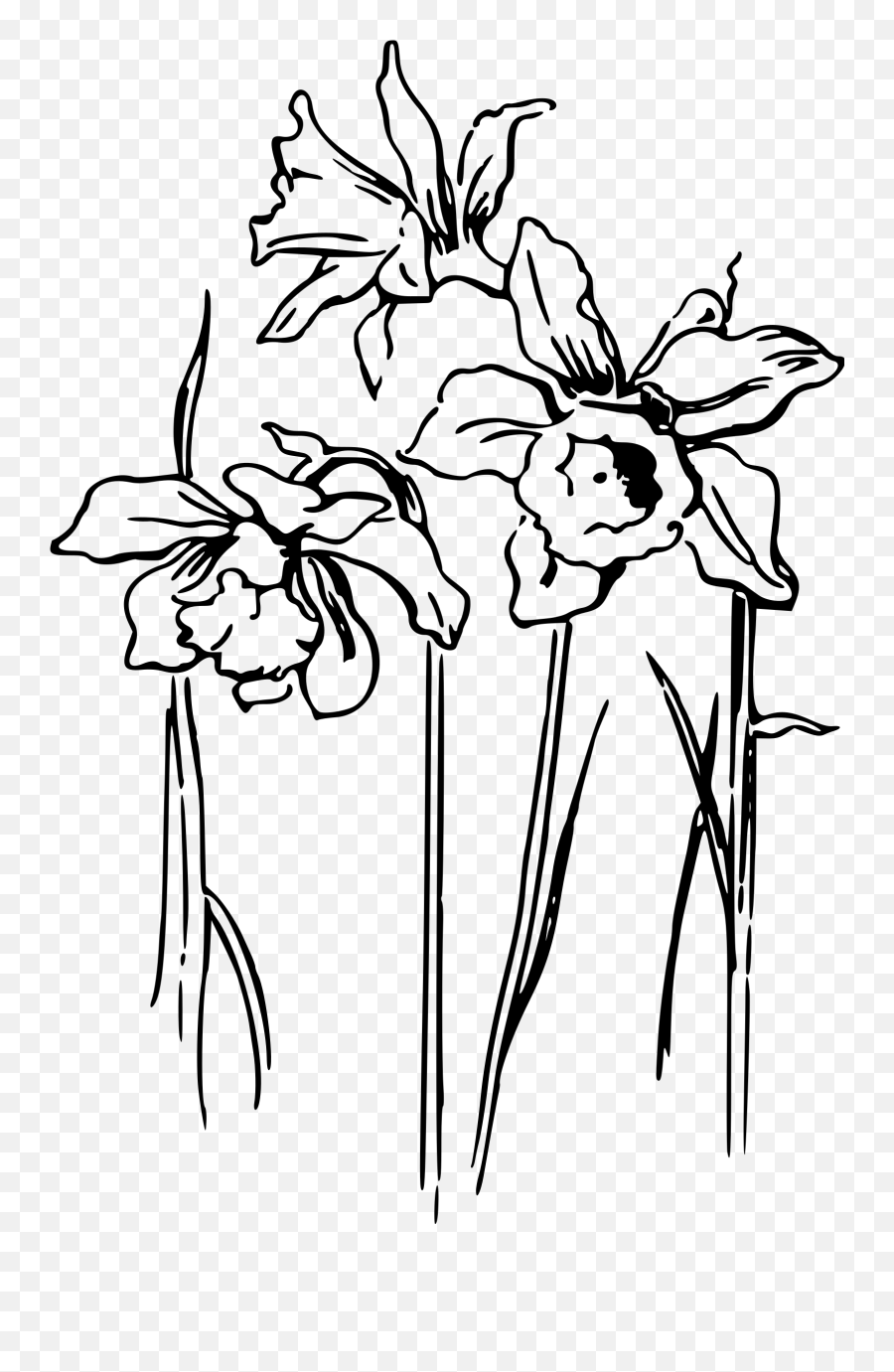 Library Of Wilting Flower Banner Royalty Free Png Files - Daffodil Line Art Png Emoji,Wilted Flower Emoji