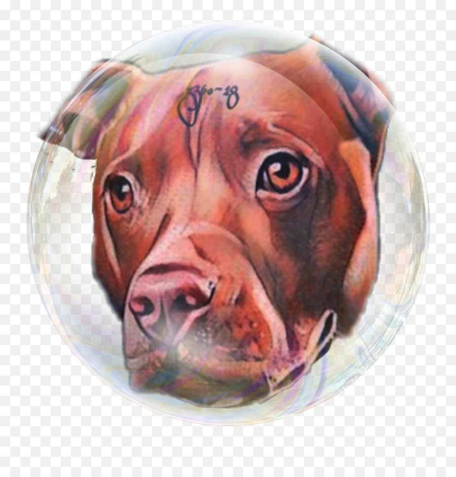 Pitty In A Pitbull - American Pit Bull Terrier Emoji,Pitbull Emoji