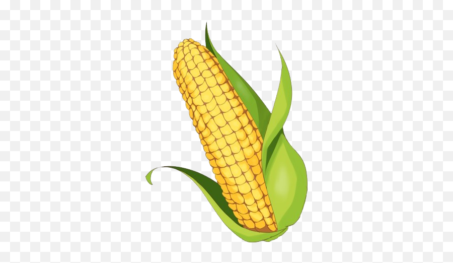 Maize Png Clipart Background - Portable Network Graphics Emoji,Emoji Corn