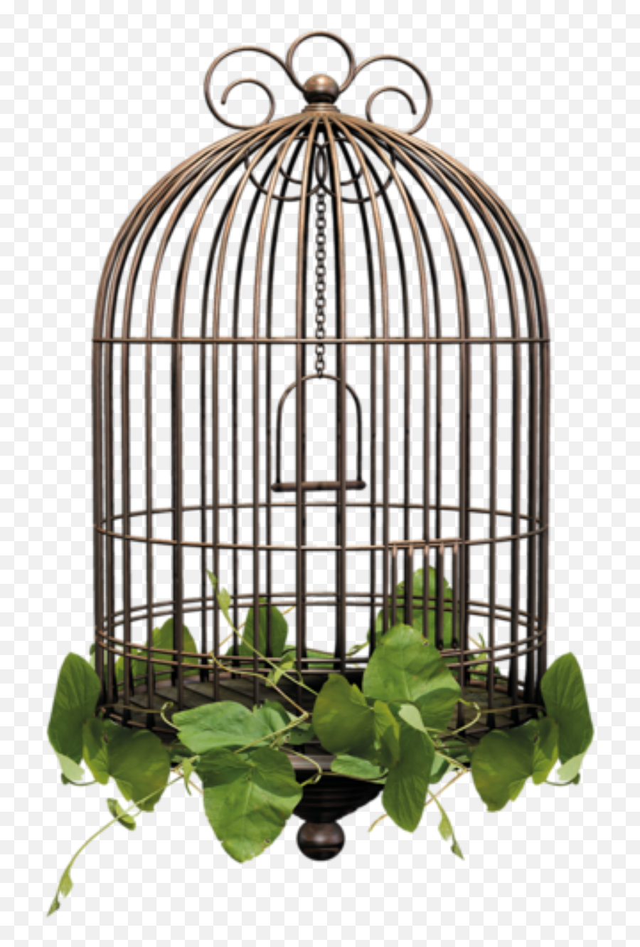 Birdcage Cage Sticker By U2022candy U0026 Stewartu2022 - El Jardín Café Emoji,Cage Emoji