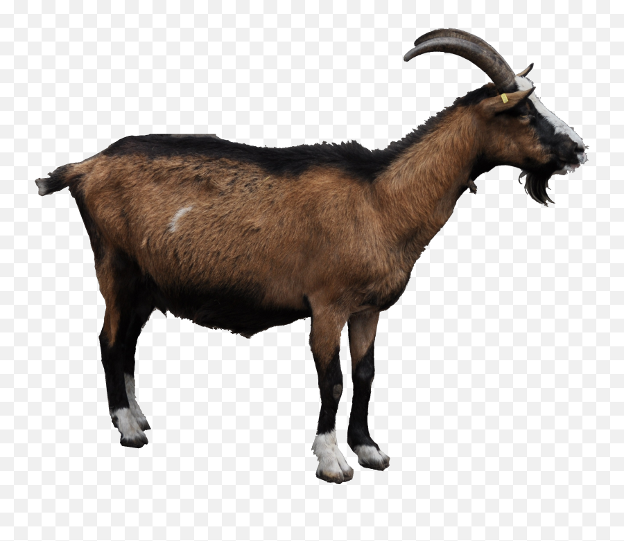 Goat Png Image - Goat Png Emoji,Goat Emoji Png