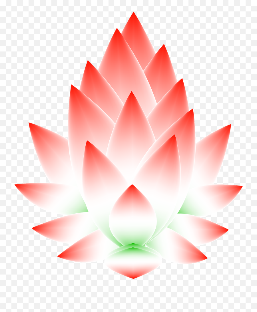 Lotus Flower Blossom Abstract Free - Nymphaea Nelumbo Emoji,Lily Pad Emoji