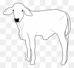 Male Calf Line Art Vector Image - Imagenes De Becerros Para Dibujar Emoji