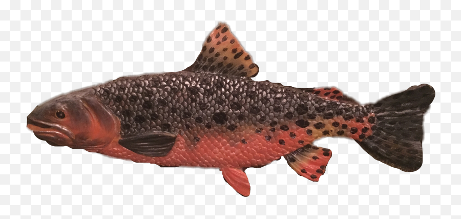 Fish Salmon Freetoedit - Sockeye Salmon Emoji,Salmon Emoji