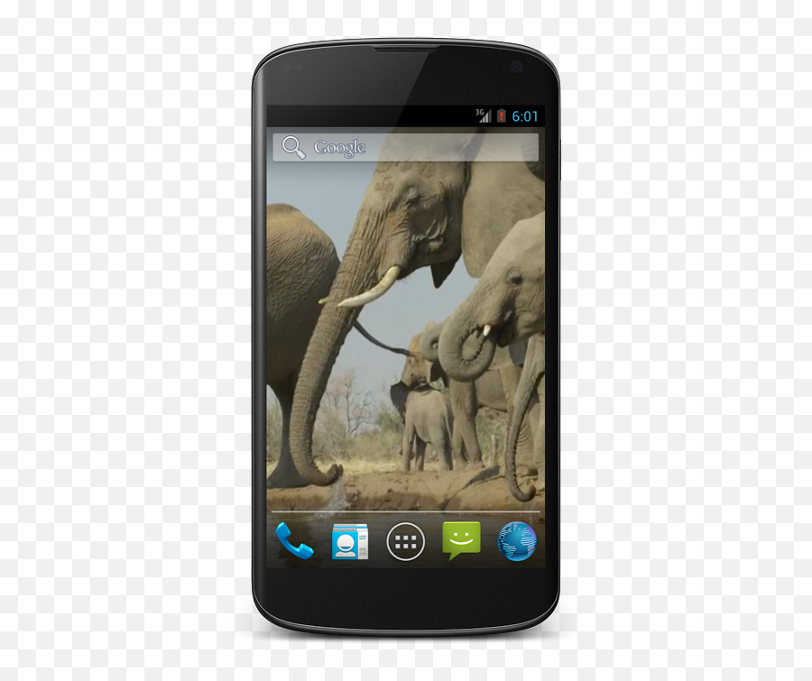 Elephant Free Video Wallpaper 12 Download Apk For Android - Samsung Galaxy Nexus White Emoji,Free African American Emojis For Android