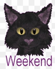 Top Black Cat Stickers For Android U0026 Ios Gfycat - Animierte Gifs Wochenende Gif Emoji,Gray Cat Emoji