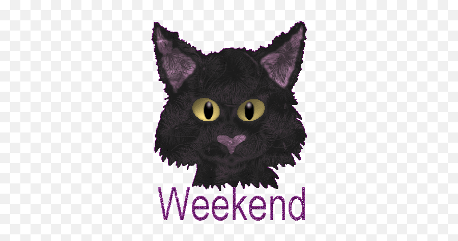 Top Black Cat Stickers For Android U0026 Ios Gfycat - Animierte Gifs Wochenende Gif Emoji,Gray Cat Emoji