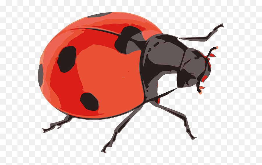 Sticker Ladybug Ladybird Sticker - Red Bag Insects Emoji,Ladybug Emoji