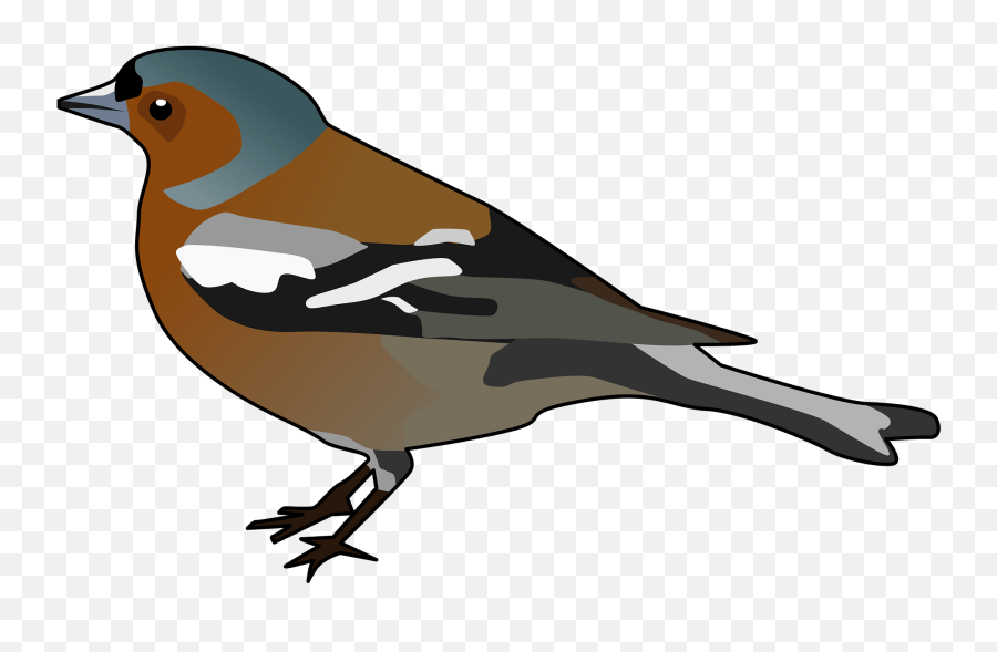 Finsh Clipart Free Download Transparent Png Creazilla - Chaffinch Clipart Emoji,Cardinal Bird Emoji