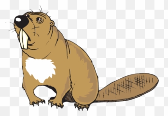 Beaver Clipart Emoji Beaver Emoji - Beavers With Big Teeth,Walrus Emoji