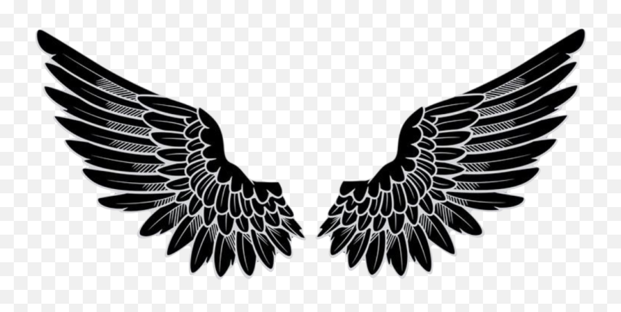 Texture Merger - Angel Wings Logo Png Emoji,Wing Emoji