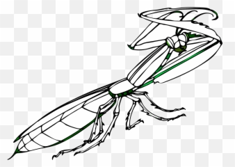 Praying Mantis Insect Huge Arms - Tattoo Designs Emoji