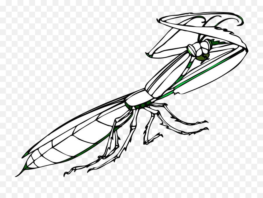 Praying Mantis Insect Huge Arms - Praying Mantis Tattoo Designs Emoji,Praying Mantis Emoji