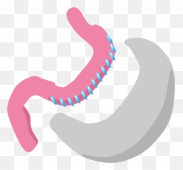 Sleeve Gastrectomy - Bariatrik Surgery Png Emoji