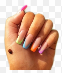 nails rainbow ladybug pngs sticker - Nail Polish Emoji