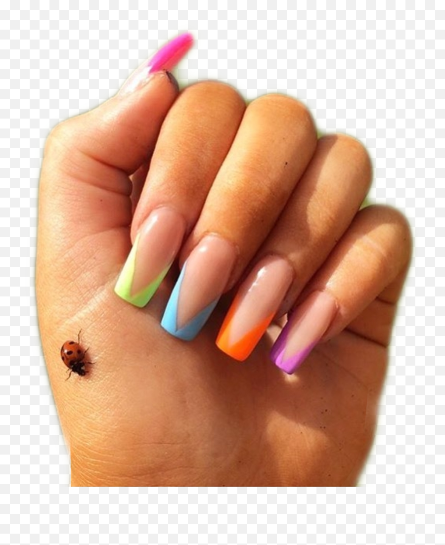 Nails Rainbow Ladybug Pngs Sticker Png - Nail Polish Emoji,Nails Emoji Png