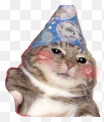 Funny Kitten Hat Birthday Celebration - Sad Cat Meme Emoji