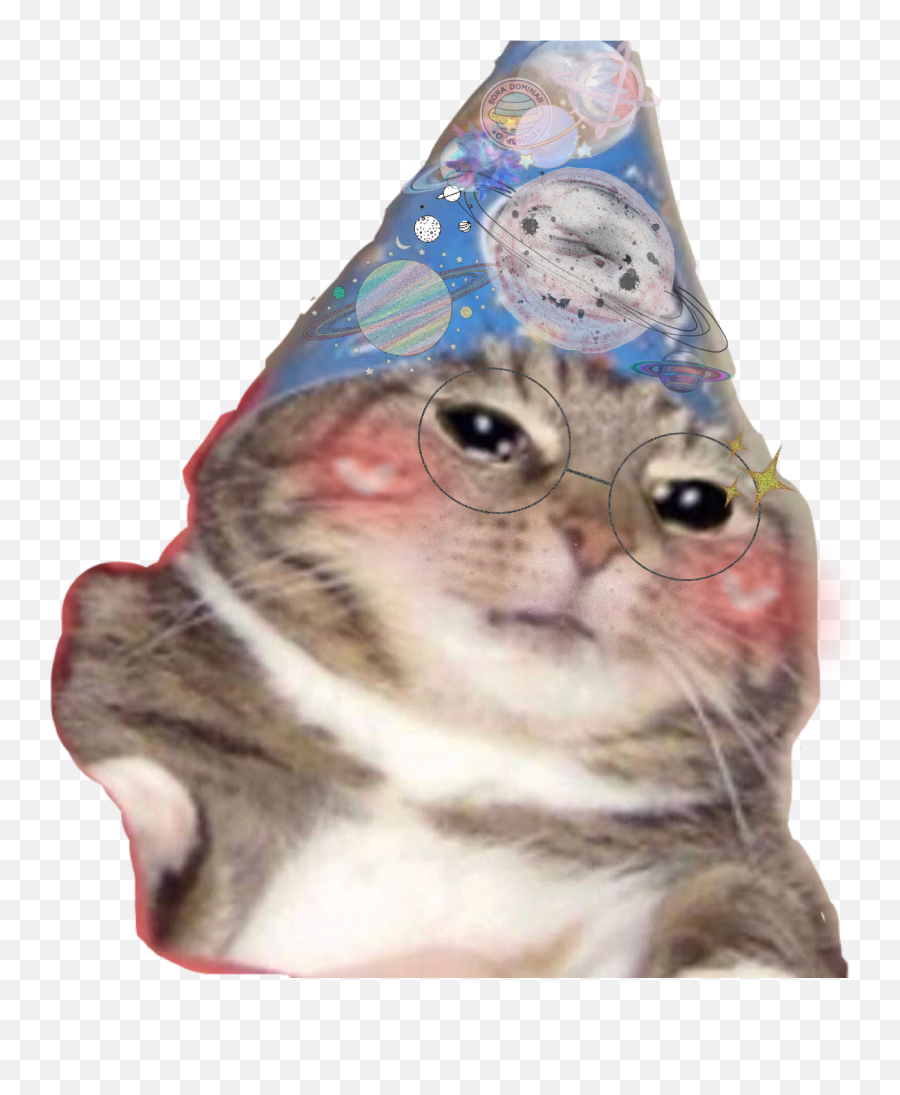 Funny Kitten Hat Birthday Celebration - Sad Birthday Cat Meme Emoji,Birthday Cat Emoji