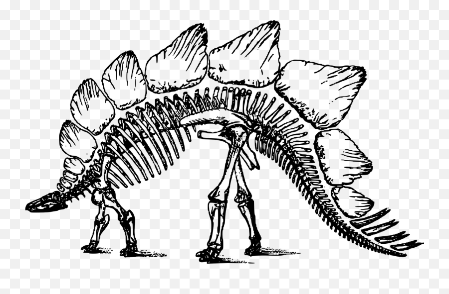 Bone Dinosaur Skeleton Stegosaurus Free - Clipart Dinosaur Skeleton Emoji,Roast Hand Emoji