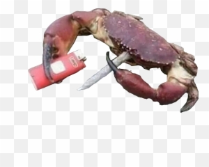The Newest Crab Stickers - American Lobster Emoji