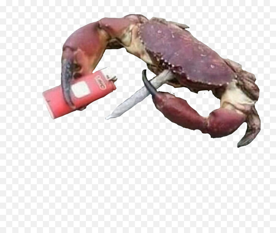 The Newest Crab Stickers - American Lobster Emoji,Crab Rave Emoji
