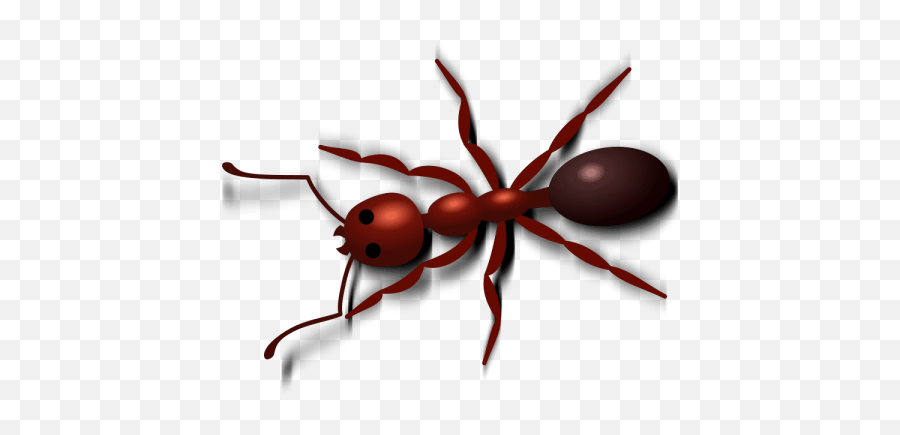 Ant Png Images Picture - Ant Clip Art Emoji,Ant Emoji