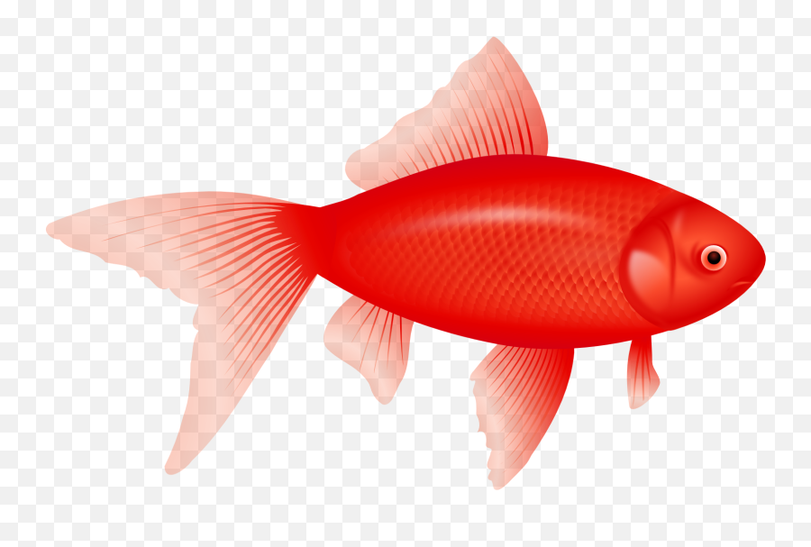 Fish Clipart Pastel Fish Pastel Transparent Free For - Fish Clipart Transparent Background Emoji,Emoji Pez
