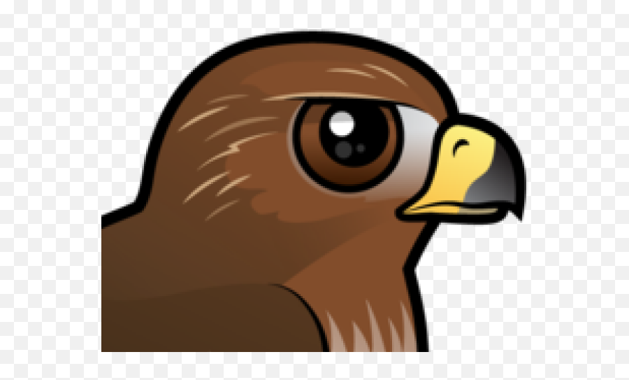 Cartoon Red Tailed Hawk Clipart - Red Tail Hawk Clipart Emoji,Hawks Emoji