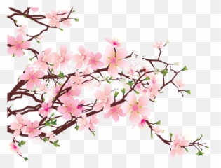 Japanese Cherry Blossom Transparent - Cherry Blossom Png Transparent Emoji,Sakura Blossom Emoji