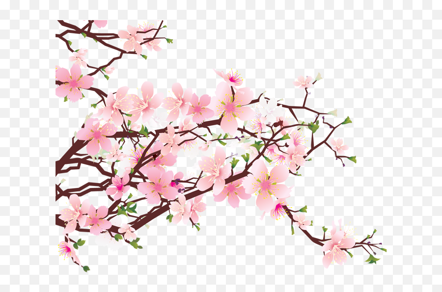 Japanese Cherry Blossom Transparent - Cherry Blossom Png Transparent Emoji,Sakura Blossom Emoji