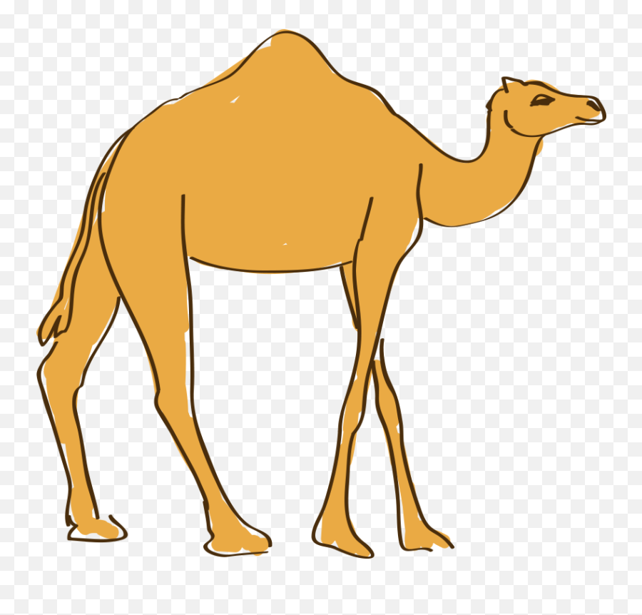 Graphic Transparent Download Camels - Camel Animation Png Emoji,Camel Emoji