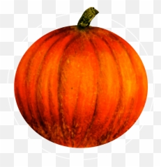 Pumpkin Icon 70 X Cm - Clipart Large Size Png Superfood Emoji