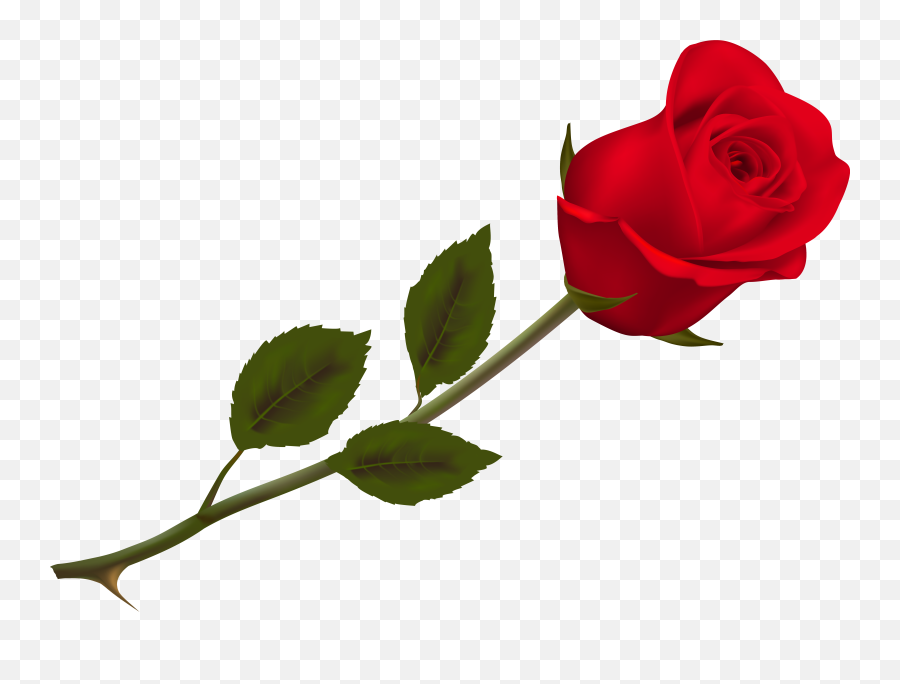 Pin - Transparent Background Red Rose Png Emoji,Rose Emoticons