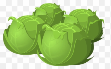 Cabbage - Cartoon Png Emoji