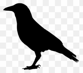 Crow Clipart Crow Transparent Free For Download - Crow Drawing Png Emoji,Crow Emoji