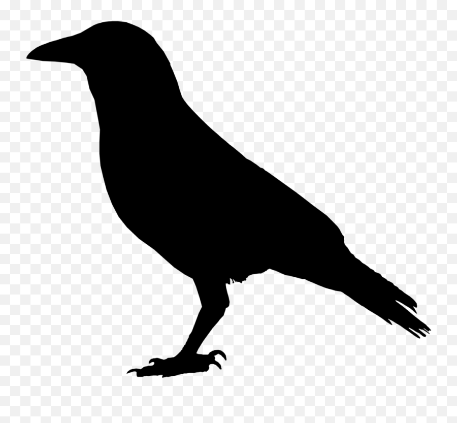 Crow Clipart Crow Transparent Free For Download - Crow Drawing Png Emoji,Crow Emoji