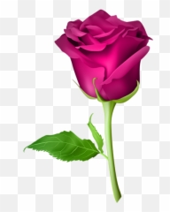 Wastickerapps - Orange Rose Png Emoji