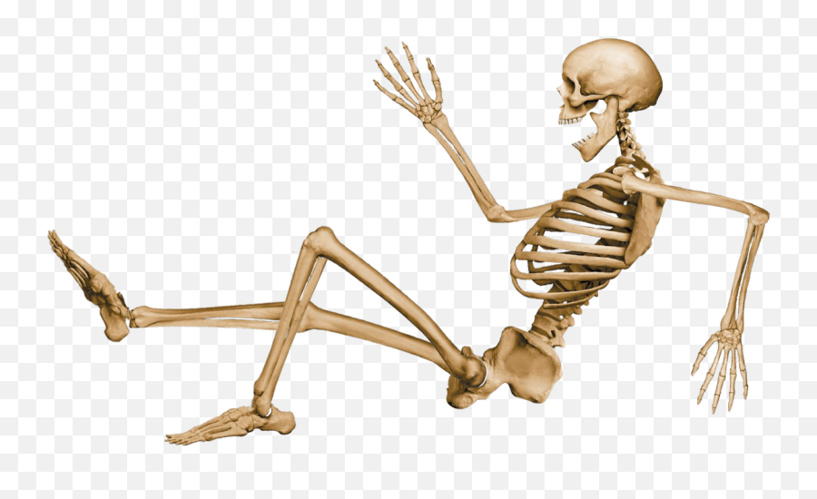 Download Skeleton Sitting Transparent Png - Stickpng Png Transparent Human Arm Bones Emoji,Skeleton Emoji