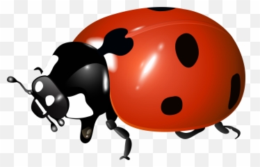 Ladybug Clipart Scripture - Ladybug Transparent Emoji,Ladybug Emoji
