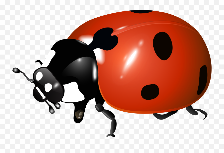 Ladybug Clipart Scripture - Ladybug Transparent Emoji,Ladybug Emoji