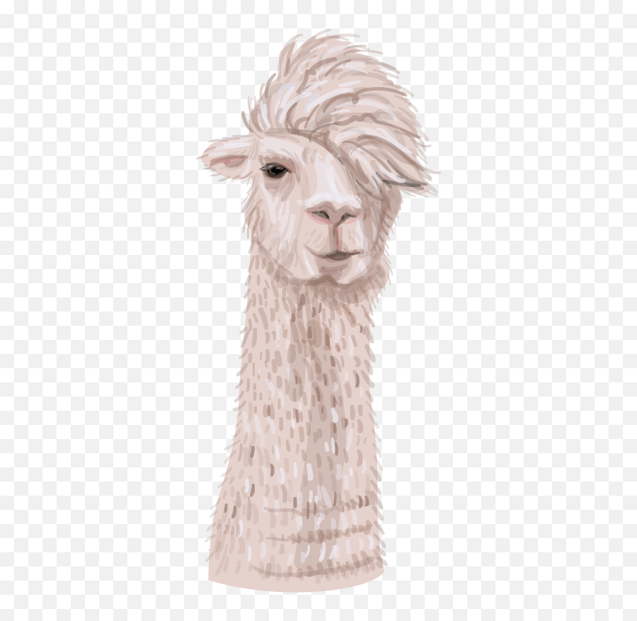 Realistic Alpaca For Kids Animal Wall - Soft Emoji,Alpaca Emoji